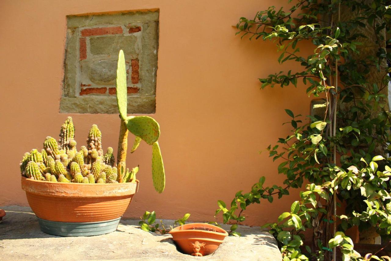 Il Casolare Bed and Breakfast Penna Eksteriør billede
